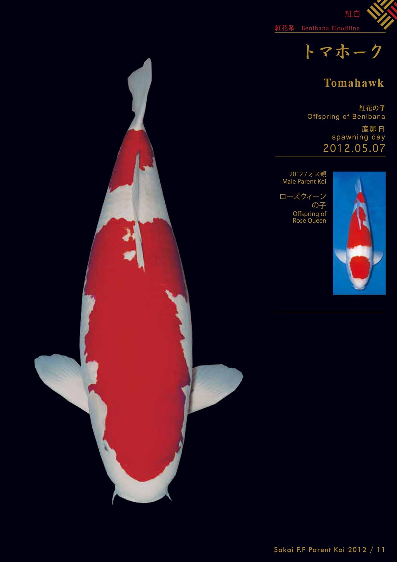 Sakai Fish Farm Parent Koi Book 2013