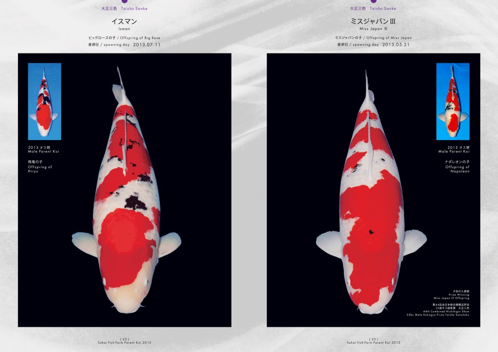 2013_2014_SFF_PANF_P22_P23_