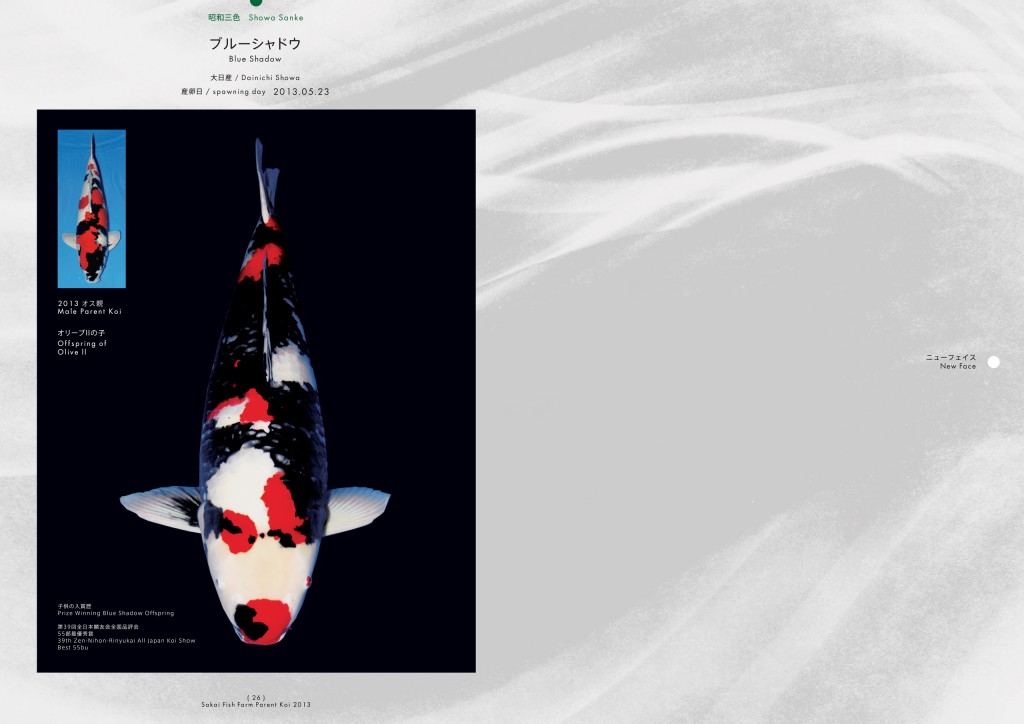 2013_2014_SFF_PANF_P26_P27_