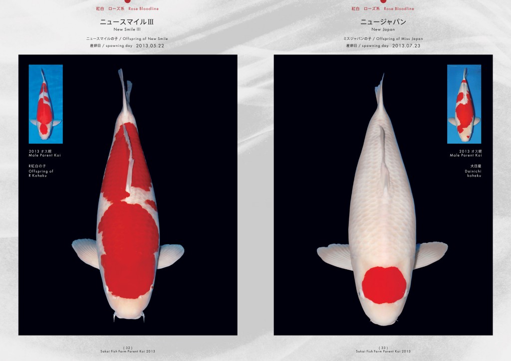 2013_2014_SFF_PANF_P32_P33_