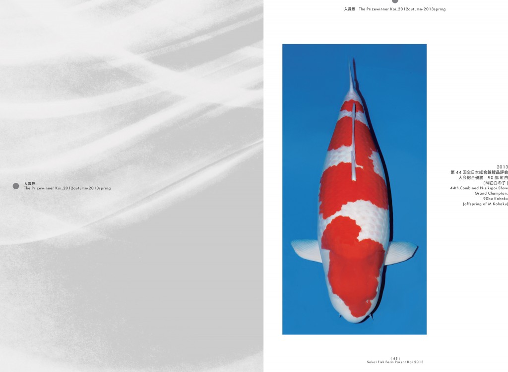 2013_2014_SFF_PANF_P42_P43_