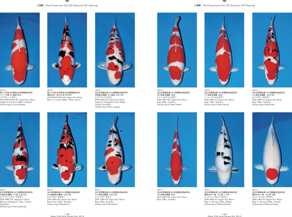 2013_2014_SFF_PANF_P48_P49_