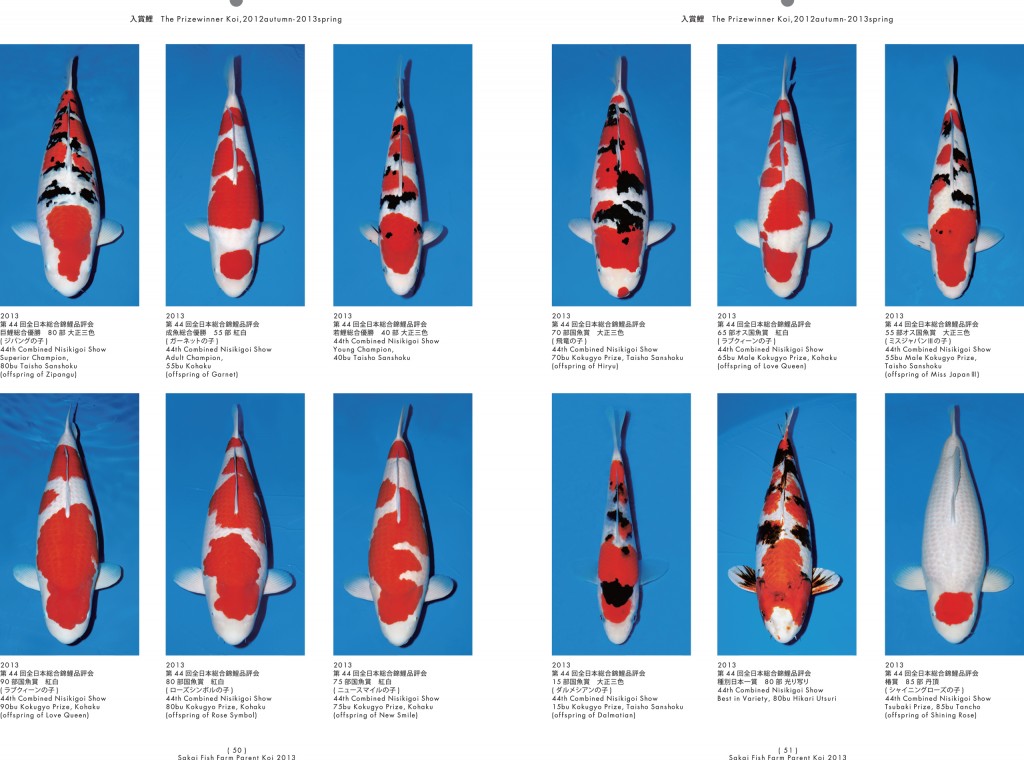 2013_2014_SFF_PANF_P50_P51_