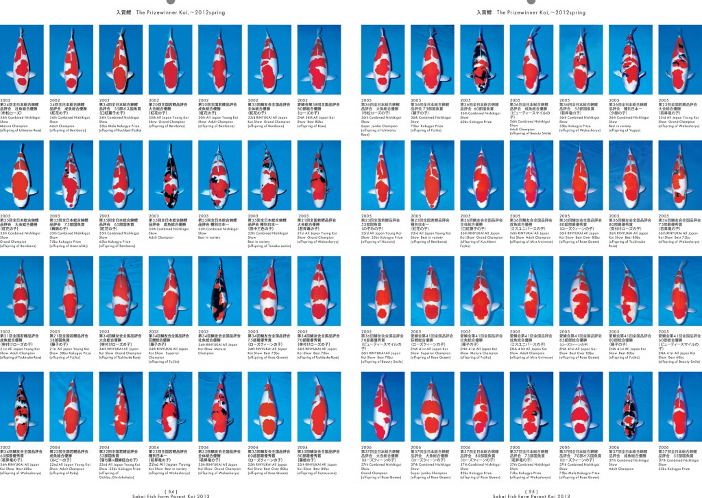 2013_2014_SFF_PANF_P54_P55_