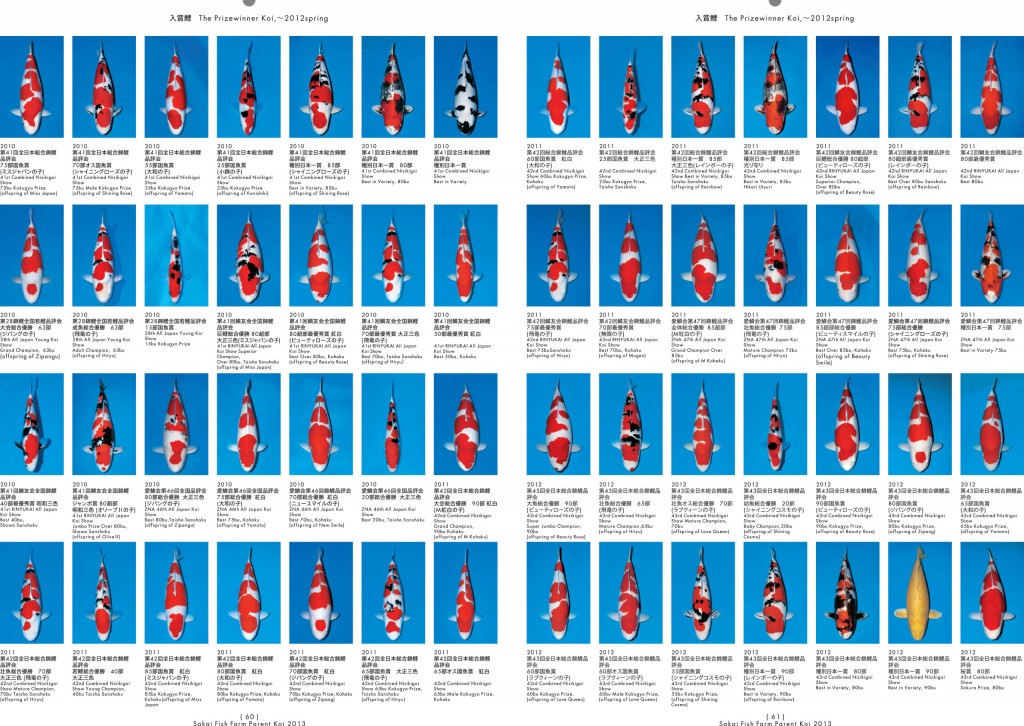 2013_2014_SFF_PANF_P60_P61_