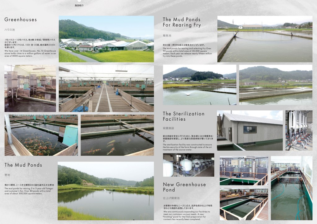 2013_2014_SFF_PANF_P64_H4_o