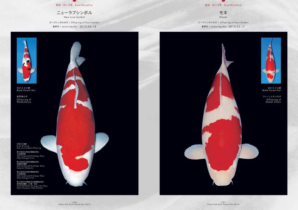 2013_2014_SFF_PANF_P8_P9_ol